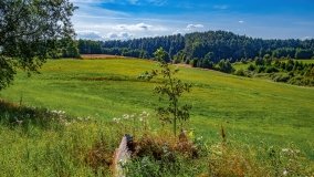 Maradki - zdjęcie 20