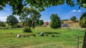 Kamionka - zdjęcie 12