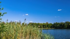 Kamionka - zdjęcie 7