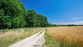 Bęsia - zdjęcie 12