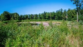 Bęsia - zdjęcie 11