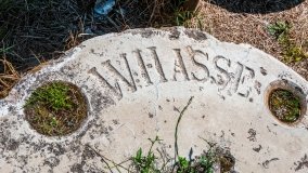 Bęsia - zdjęcie 10