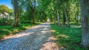 Tejstymy - zdjęcie 4