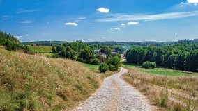 Wierzbowo - zdjęcie 19