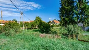 Wierzbowo - zdjęcie 17