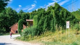 Wierzbowo - zdjęcie 14