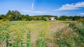 Wierzbowo - zdjęcie 11