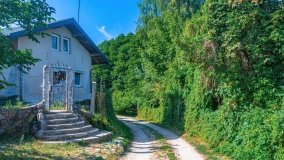 Wierzbowo - zdjęcie 10