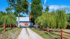 Wierzbowo - zdjęcie 3