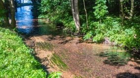 Wierzbowo - zdjęcie 2