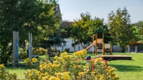 Srokowo - zdjęcie 68