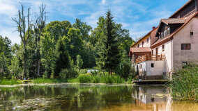 Babięta - zdjęcie 12