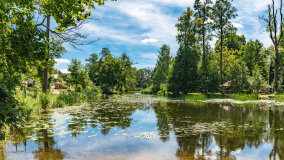 Babięta - zdjęcie 11