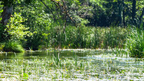 Babięta - zdjęcie 10