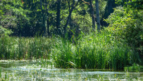 Babięta - zdjęcie 5