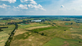 Paprotki - zdjęcie 37