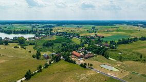 Paprotki - zdjęcie 36