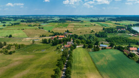 Paprotki - zdjęcie 35