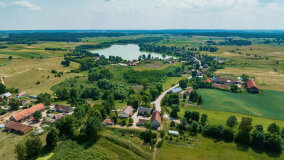 Paprotki - zdjęcie 34