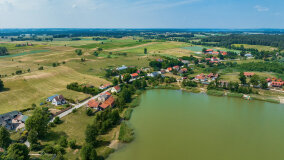 Paprotki - zdjęcie 32