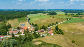 Paprotki - zdjęcie 31