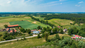 Paprotki - zdjęcie 28