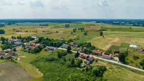 Paprotki - zdjęcie 27