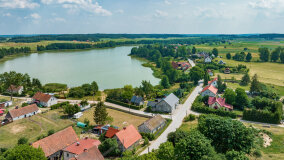 Paprotki - zdjęcie 25