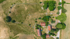 Paprotki - zdjęcie 23