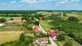 Paprotki - zdjęcie 22