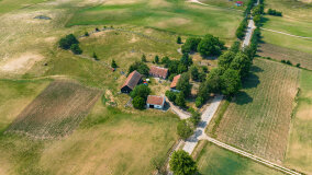 Paprotki - zdjęcie 21