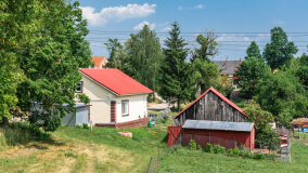 Paprotki - zdjęcie 20