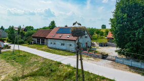 Paprotki - zdjęcie 19