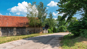 Paprotki - zdjęcie 18