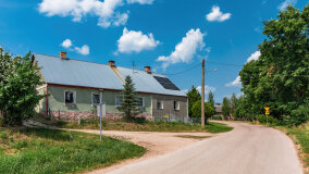 Paprotki - zdjęcie 17