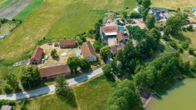 Paprotki - zdjęcie 16