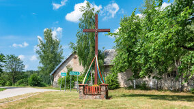 Paprotki - zdjęcie 15