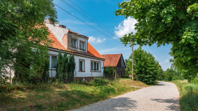 Paprotki - zdjęcie 14