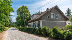 Paprotki - zdjęcie 13