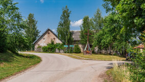 Paprotki - zdjęcie 12