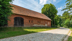 Paprotki - zdjęcie 10