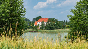 Paprotki - zdjęcie 8