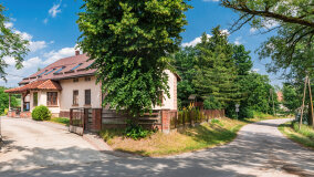 Paprotki - zdjęcie 7