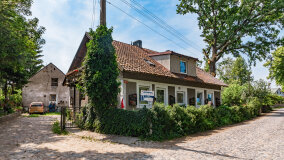 Paprotki - zdjęcie 6