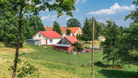 Paprotki - zdjęcie 4