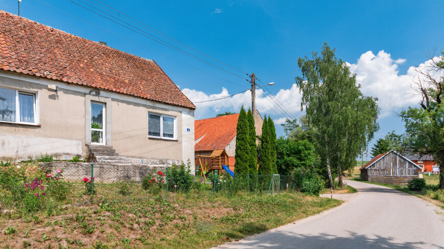 Paprotki - zdjęcie 1