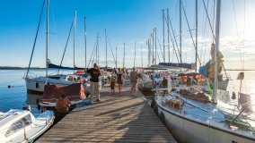 Port Dziki Harsz - zdjęcie 41