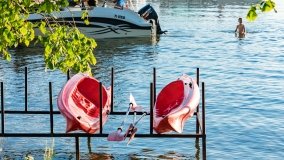 Port Dziki Harsz - zdjęcie 40