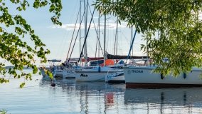 Port Dziki Harsz - zdjęcie 34