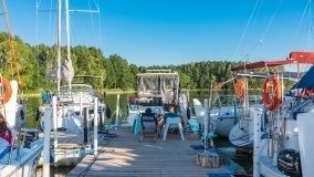 Port Dziki Harsz - zdjęcie 32